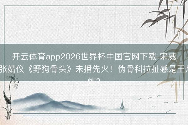 开云体育app2026世界杯中国官网下载 宋威龙张婧仪《野狗骨头》未播先火!伪骨科拉扯感是王炸?