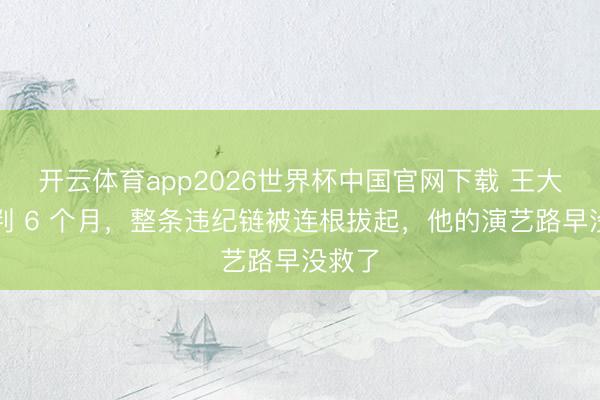 开云体育app2026世界杯中国官网下载 王大陆被判 6 个月，整条违纪链被连根拔起，他的演艺路早没救了