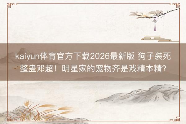 kaiyun体育官方下载2026最新版 狗子装死整蛊邓超！明星家的宠物齐是戏精本精？