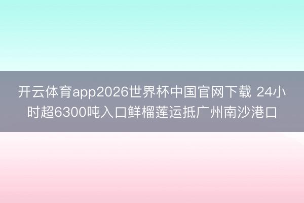 开云体育app2026世界杯中国官网下载 24小时超6300吨入口鲜榴莲运抵广州南沙港口
